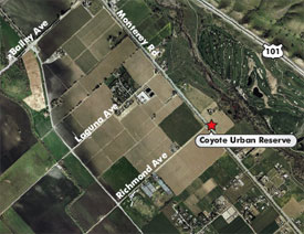 Coyote Valley Land